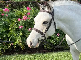 Belle & Bow | BROWN | Sugarbrook Bridle Wide Noseband