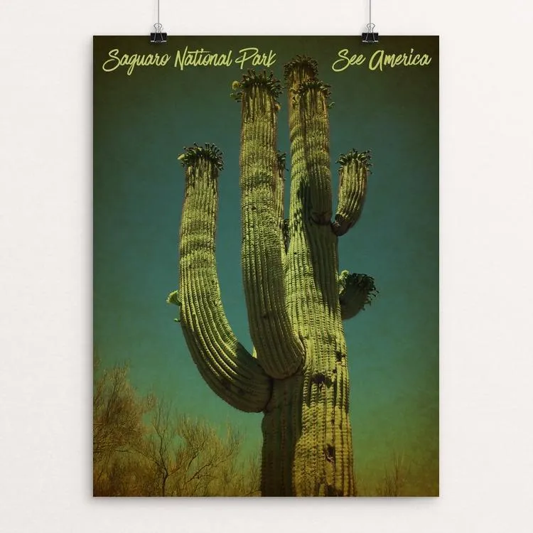 Saguaro National Park by Bryan Bromstrup