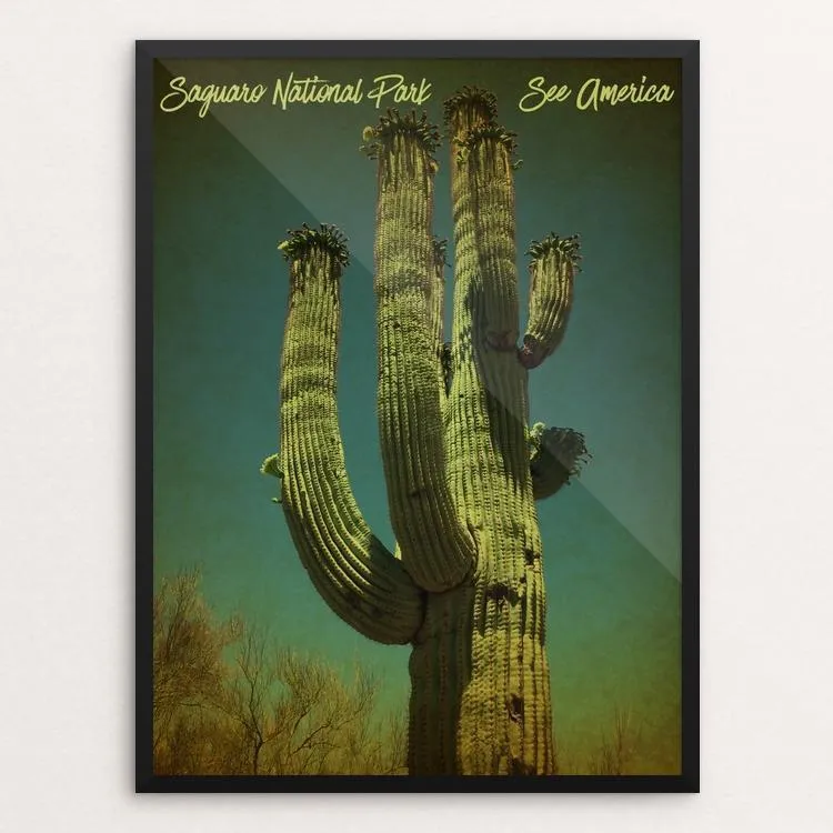 Saguaro National Park by Bryan Bromstrup