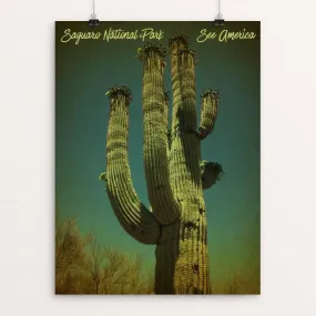 Saguaro National Park by Bryan Bromstrup