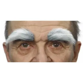 White/Grey Eyebrows